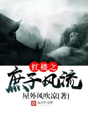红楼之庶子风流红楼之庶子风流